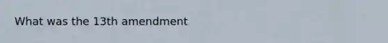 What was the 13th amendment