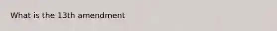 What is the 13th amendment