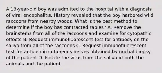 A 13-year-old boy was admitted to the hospital with a diagnosis of viral encephalitis. History revealed that the boy harbored wild raccoons from nearby woods. What is the best method to determine if the boy has contracted rabies? A. Remove <a href='https://www.questionai.com/knowledge/kLMtJeqKp6-the-brain' class='anchor-knowledge'>the brain</a>stems from all of the raccoons and examine for cytopathic effects B. Request immunofluorescent test for antibody on the saliva from all of the raccoons C. Request immunofluorescent test for antigen in cutaneous nerves obtained by nuchal biopsy of the patient D. Isolate the virus from the saliva of both the animals and the patient