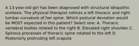 A 13-year-old girl has been diagnosed with structural idiopathic scoliosis. The physical therapist notices a left thoracic and right lumbar curvature of her spine. Which postural deviation would be MOST expected in this patient? Select one: A. Thoracic vertebral bodies rotated to the right B. Elevated right shoulder C. Spinous processes of thoracic spine rotated to the left D. Posteriorly protruding left scapula