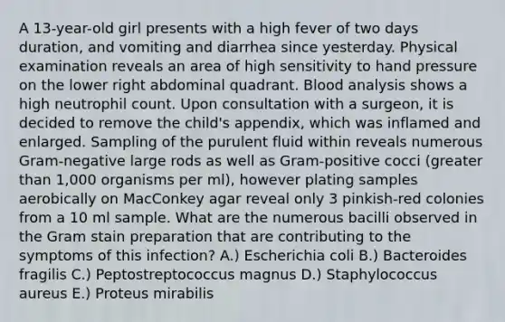 A 13-year-old girl presents with a high fever of two days duration, and vomiting and diarrhea since yesterday. Physical examination reveals an area of high sensitivity to hand pressure on the lower right abdominal quadrant. Blood analysis shows a high neutrophil count. Upon consultation with a surgeon, it is decided to remove the child's appendix, which was inflamed and enlarged. Sampling of the purulent fluid within reveals numerous Gram-negative large rods as well as Gram-positive cocci (greater than 1,000 organisms per ml), however plating samples aerobically on MacConkey agar reveal only 3 pinkish-red colonies from a 10 ml sample. What are the numerous bacilli observed in the Gram stain preparation that are contributing to the symptoms of this infection? A.) Escherichia coli B.) Bacteroides fragilis C.) Peptostreptococcus magnus D.) Staphylococcus aureus E.) Proteus mirabilis