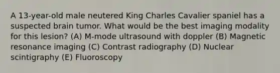 A 13-year-old male neutered King Charles Cavalier spaniel has a suspected brain tumor. What would be the best imaging modality for this lesion? (A) M-mode ultrasound with doppler (B) Magnetic resonance imaging (C) Contrast radiography (D) Nuclear scintigraphy (E) Fluoroscopy