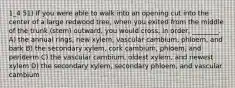 1_4 51) If you were able to walk into an opening cut into the center of a large redwood tree, when you exited from the middle of the trunk (stem) outward, you would cross, in order, ________. A) the annual rings, new xylem, vascular cambium, phloem, and bark B) the secondary xylem, cork cambium, phloem, and periderm C) the vascular cambium, oldest xylem, and newest xylem D) the secondary xylem, secondary phloem, and vascular cambium