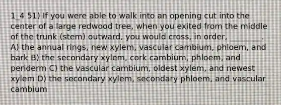 1_4 51) If you were able to walk into an opening cut into the center of a large redwood tree, when you exited from the middle of the trunk (stem) outward, you would cross, in order, ________. A) the annual rings, new xylem, vascular cambium, phloem, and bark B) the secondary xylem, cork cambium, phloem, and periderm C) the vascular cambium, oldest xylem, and newest xylem D) the secondary xylem, secondary phloem, and vascular cambium