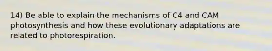 14) Be able to explain the mechanisms of C4 and CAM photosynthesis and how these evolutionary adaptations are related to photorespiration.