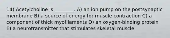 14) Acetylcholine is ________. A) an ion pump on the postsynaptic membrane B) a source of energy for muscle contraction C) a component of thick myofilaments D) an oxygen-binding protein E) a neurotransmitter that stimulates skeletal muscle