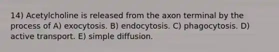 14) Acetylcholine is released from the axon terminal by the process of A) exocytosis. B) endocytosis. C) phagocytosis. D) active transport. E) simple diffusion.