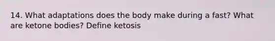 14. What adaptations does the body make during a fast? What are ketone bodies? Define ketosis