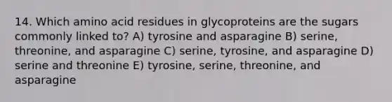 14. Which amino acid residues in glycoproteins are the sugars commonly linked to? A) tyrosine and asparagine B) serine, threonine, and asparagine C) serine, tyrosine, and asparagine D) serine and threonine E) tyrosine, serine, threonine, and asparagine