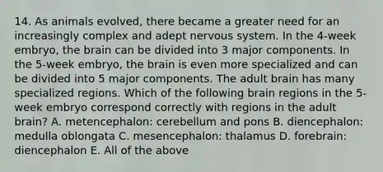 14. As animals evolved, there became a greater need for an increasingly complex and adept <a href='https://www.questionai.com/knowledge/kThdVqrsqy-nervous-system' class='anchor-knowledge'>nervous system</a>. In the 4-week embryo, <a href='https://www.questionai.com/knowledge/kLMtJeqKp6-the-brain' class='anchor-knowledge'>the brain</a> can be divided into 3 major components. In the 5-week embryo, the brain is even more specialized and can be divided into 5 major components. The adult brain has many specialized regions. Which of the following brain regions in the 5-week embryo correspond correctly with regions in the adult brain? A. metencephalon: cerebellum and pons B. diencephalon: medulla oblongata C. mesencephalon: thalamus D. forebrain: diencephalon E. All of the above