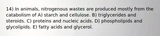 14) In animals, nitrogenous wastes are produced mostly from the catabolism of A) starch and cellulose. B) triglycerides and steroids. C) proteins and nucleic acids. D) phospholipids and glycolipids. E) fatty acids and glycerol.