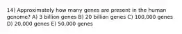 14) Approximately how many genes are present in the human genome? A) 3 billion genes B) 20 billion genes C) 100,000 genes D) 20,000 genes E) 50,000 genes