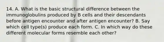 14. A. What is the basic structural difference between the immunoglobulins produced by B cells and their descendants before antigen encounter and after antigen encounter? B. Say which cell type(s) produce each form. C. In which way do these different molecular forms resemble each other?