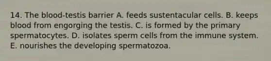 14. <a href='https://www.questionai.com/knowledge/k7oXMfj7lk-the-blood' class='anchor-knowledge'>the blood</a>-testis barrier A. feeds sustentacular cells. B. keeps blood from engorging the testis. C. is formed by the primary spermatocytes. D. isolates sperm cells from the immune system. E. nourishes the developing spermatozoa.