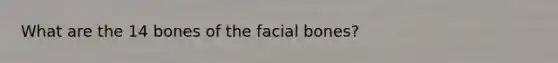 What are the 14 bones of the facial bones?