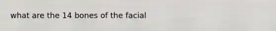 what are the 14 bones of the facial