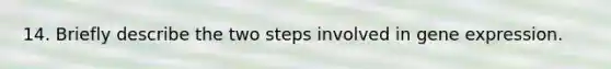 14. Briefly describe the two steps involved in gene expression.