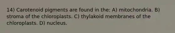 14) Carotenoid pigments are found in the: A) mitochondria. B) stroma of the chloroplasts. C) thylakoid membranes of the chloroplasts. D) nucleus.