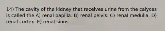 14) The cavity of the kidney that receives urine from the calyces is called the A) renal papilla. B) renal pelvis. C) renal medulla. D) renal cortex. E) renal sinus