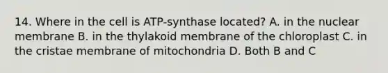 14. Where in the cell is ATP-synthase located? A. in the nuclear membrane B. in the thylakoid membrane of the chloroplast C. in the cristae membrane of mitochondria D. Both B and C