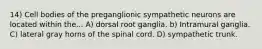 14) Cell bodies of the preganglionic sympathetic neurons are located within the... A) dorsal root ganglia. b) Intramural ganglia. C) lateral gray horns of the spinal cord. D) sympathetic trunk.