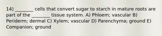 14) ________ cells that convert sugar to starch in mature roots are part of the ________ tissue system. A) Phloem; vascular B) Periderm; dermal C) Xylem; vascular D) Parenchyma; ground E) Companion; ground