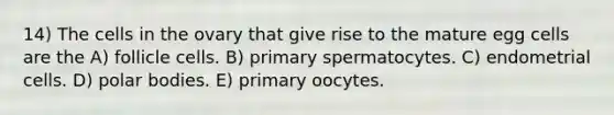 14) The cells in the ovary that give rise to the mature egg cells are the A) follicle cells. B) primary spermatocytes. C) endometrial cells. D) polar bodies. E) primary oocytes.