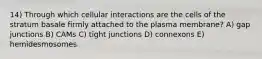 14) Through which cellular interactions are the cells of the stratum basale firmly attached to the plasma membrane? A) gap junctions B) CAMs C) tight junctions D) connexons E) hemidesmosomes