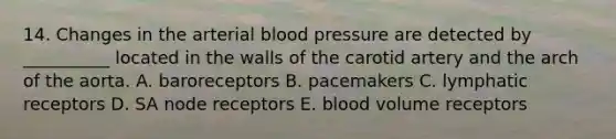 14. Changes in the arterial blood pressure are detected by __________ located in the walls of the carotid artery and the arch of the aorta. A. baroreceptors B. pacemakers C. lymphatic receptors D. SA node receptors E. blood volume receptors