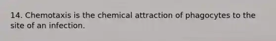 14. Chemotaxis is the chemical attraction of phagocytes to the site of an infection.