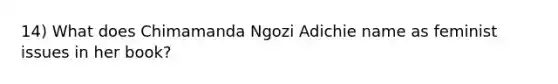 14) What does Chimamanda Ngozi Adichie name as feminist issues in her book?