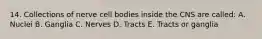 14. Collections of nerve cell bodies inside the CNS are called: A. Nuclei B. Ganglia C. Nerves D. Tracts E. Tracts or ganglia