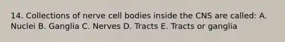 14. Collections of nerve cell bodies inside the CNS are called: A. Nuclei B. Ganglia C. Nerves D. Tracts E. Tracts or ganglia