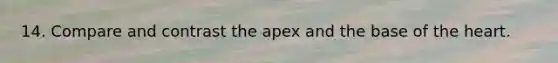 14. Compare and contrast the apex and the base of <a href='https://www.questionai.com/knowledge/kya8ocqc6o-the-heart' class='anchor-knowledge'>the heart</a>.
