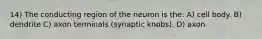 14) The conducting region of the neuron is the: A) cell body. B) dendrite C) axon terminals (synaptic knobs). D) axon