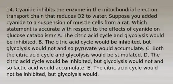 14. Cyanide inhibits the enzyme in the mitochondrial electron transport chain that reduces O2 to water. Suppose you added cyanide to a suspension of muscle cells from a rat. Which statement is accurate with respect to the effects of cyanide on glucose catabolism? A. The citric acid cycle and glycolysis would be inhibited. B. The citric acid cycle would be inhibited, but glycolysis would not and so pyruvate would accumulate. C. Both the citric acid cycle and glycolysis would be stimulated. D. The citric acid cycle would be inhibited, but glycolysis would not and so lactic acid would accumulate. E. The citric acid cycle would not be inhibited, but glycolysis would.