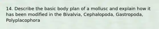 14. Describe the basic body plan of a mollusc and explain how it has been modified in the Bivalvia, Cephalopoda, Gastropoda, Polyplacophora