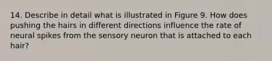 14. Describe in detail what is illustrated in Figure 9. How does pushing the hairs in different directions influence the rate of neural spikes from the sensory neuron that is attached to each hair?