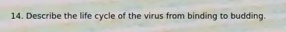 14. Describe the life cycle of the virus from binding to budding.