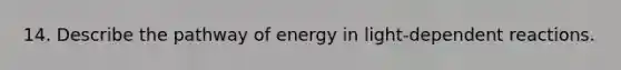 14. Describe the pathway of energy in light-dependent reactions.