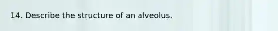 14. Describe the structure of an alveolus.