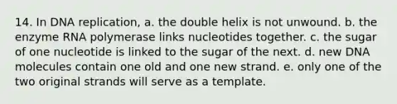 14. In DNA replication, a. the double helix is not unwound. b. the enzyme RNA polymerase links nucleotides together. c. the sugar of one nucleotide is linked to the sugar of the next. d. new DNA molecules contain one old and one new strand. e. only one of the two original strands will serve as a template.