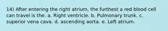 14) After entering the right atrium, the furthest a red blood cell can travel is the. a. Right ventricle. b. Pulmonary trunk. c. superior vena cava. d. ascending aorta. e. Left atrium.