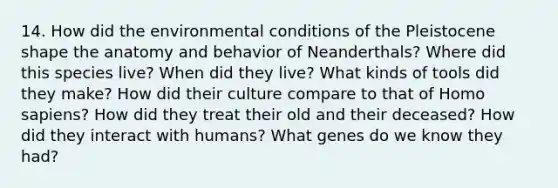 14. How did the environmental conditions of the Pleistocene shape the anatomy and behavior of Neanderthals? Where did this species live? When did they live? What kinds of tools did they make? How did their culture compare to that of Homo sapiens? How did they treat their old and their deceased? How did they interact with humans? What genes do we know they had?