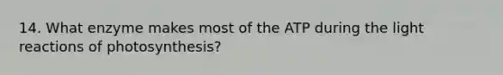 14. What enzyme makes most of the ATP during the <a href='https://www.questionai.com/knowledge/kSUoWrrvoC-light-reactions' class='anchor-knowledge'>light reactions</a> of photosynthesis?