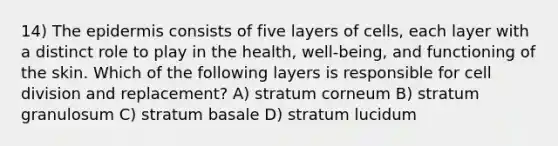 14) The epidermis consists of five layers of cells, each layer with a distinct role to play in the health, well-being, and functioning of the skin. Which of the following layers is responsible for cell division and replacement? A) stratum corneum B) stratum granulosum C) stratum basale D) stratum lucidum