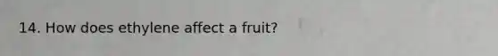 14. How does ethylene affect a fruit?