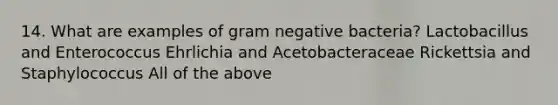 14. What are examples of gram negative bacteria? Lactobacillus and Enterococcus Ehrlichia and Acetobacteraceae Rickettsia and Staphylococcus All of the above