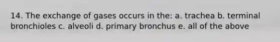 14. The exchange of gases occurs in the: a. trachea b. terminal bronchioles c. alveoli d. primary bronchus e. all of the above