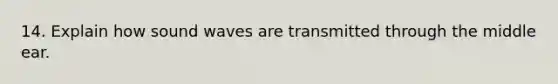 14. Explain how sound waves are transmitted through the middle ear.